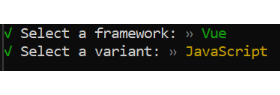 options selected after running the vite command
