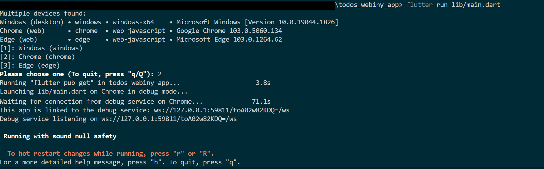 Flutter environment running